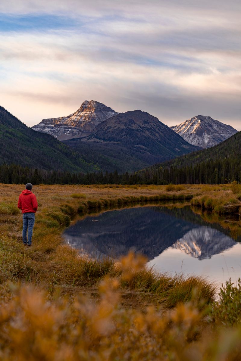 Uinta-Wasatch-Cache National Forest