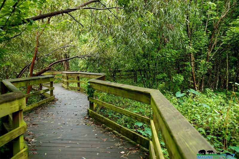 Mead Botanical Garden