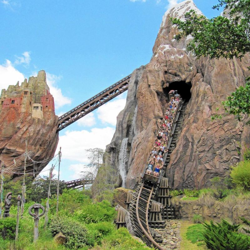 Disney's Animal Kingdom, Florida