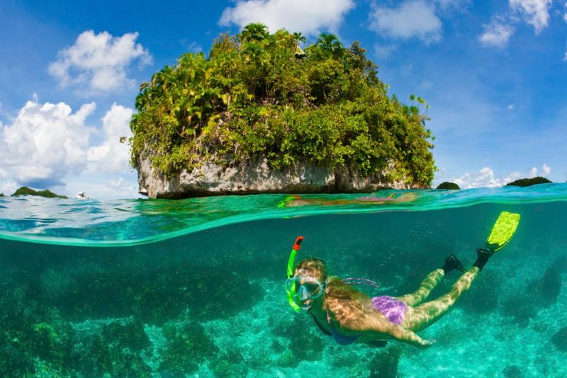 Palau: Paradise of Preservation
