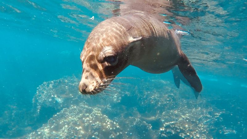 Galápagos Islands, Ecuador