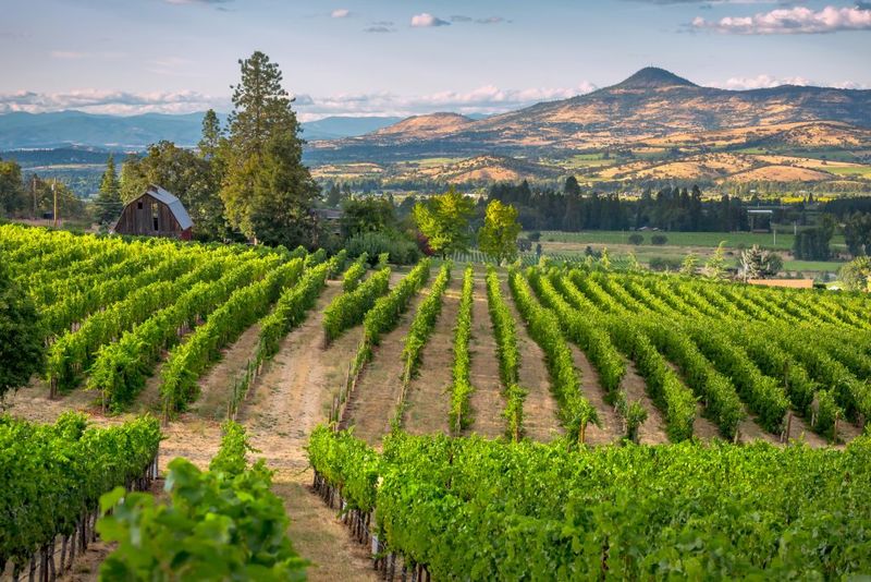 Renowned Rogue Valley Wine Country