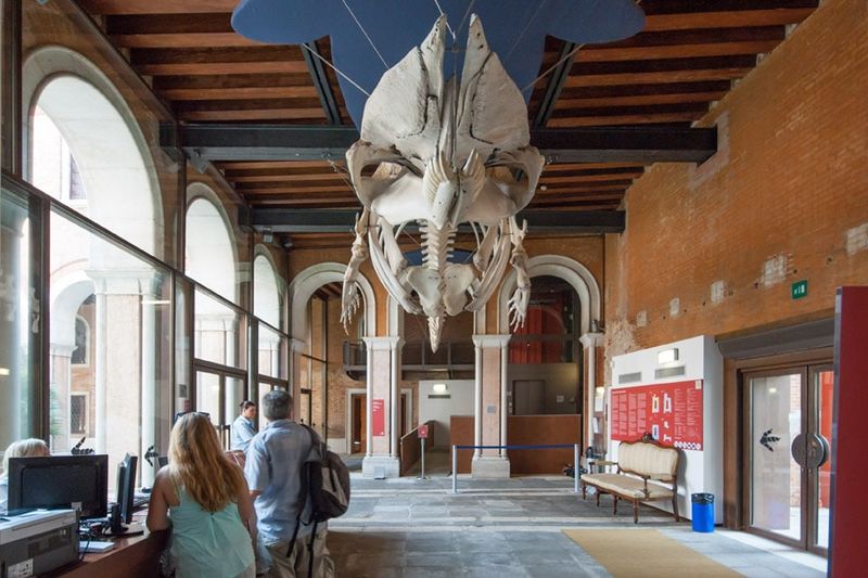 Visit the Natural History Museum