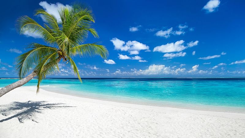 Relaxing at Grace Bay, Turks and Caicos