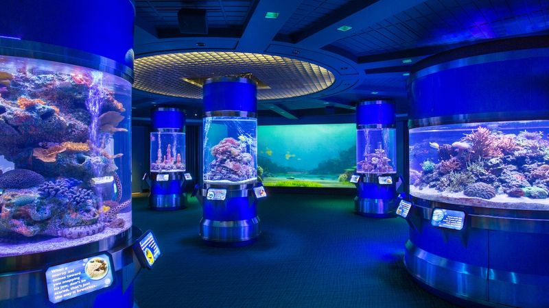 Educational Insights at The Seas with Nemo & Friends