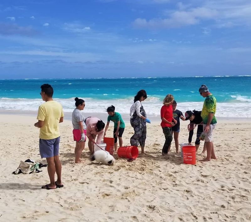 Participating in a Beach Cleanup