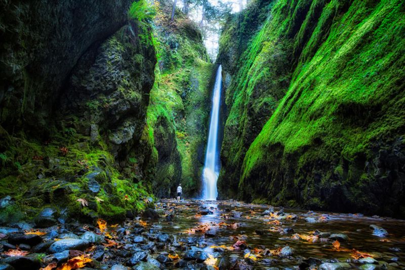 Oneonta Falls