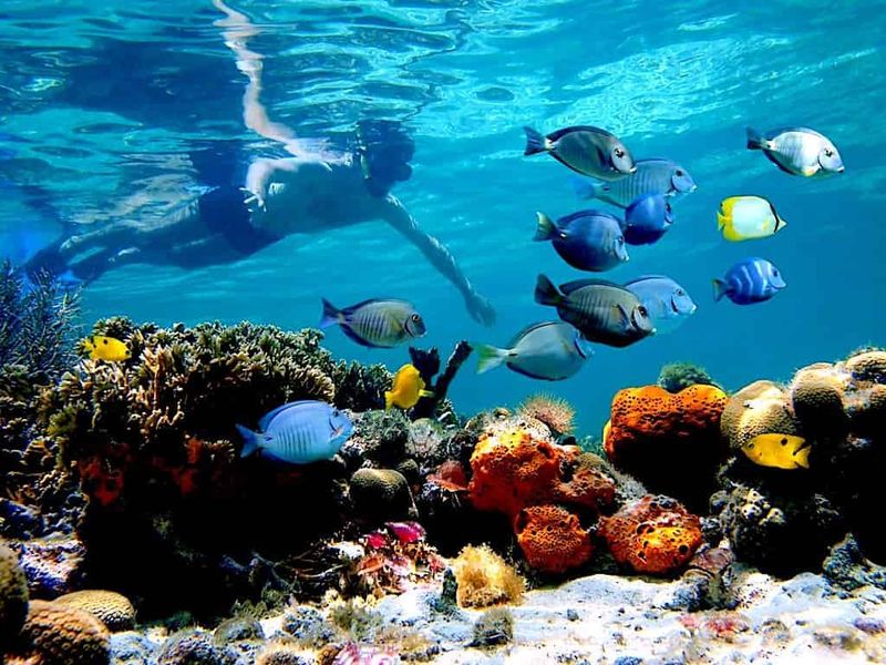Underwater Marine Park