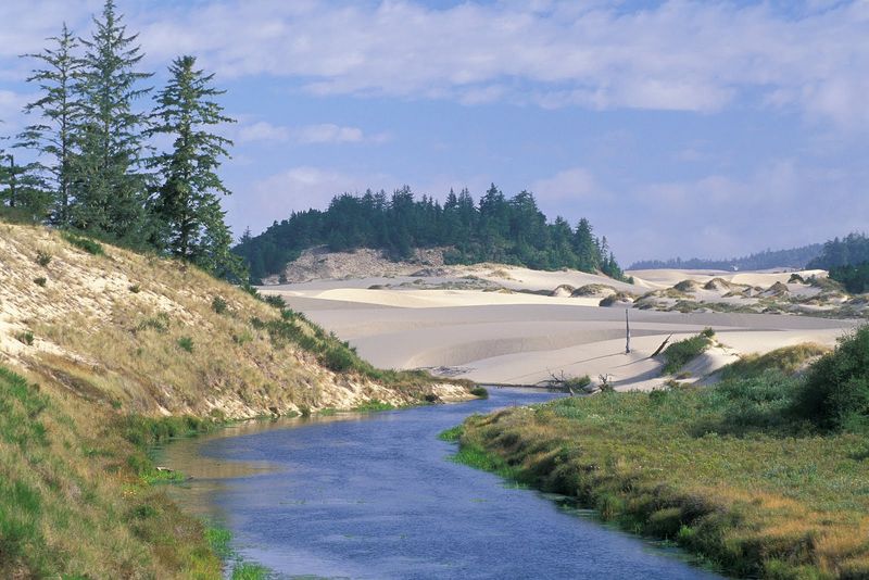 Siuslaw National Forest Showcases Pacific Northwest Paradise