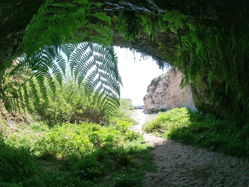 Wilder Ranch State Park – Fern Grotto Beach (Santa Cruz County)