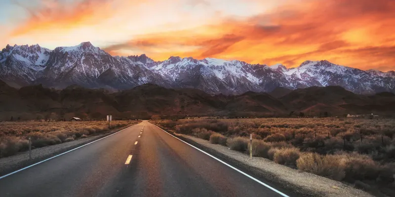 Lone Pine