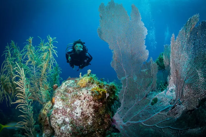 Bonaire, Caribbean Netherlands