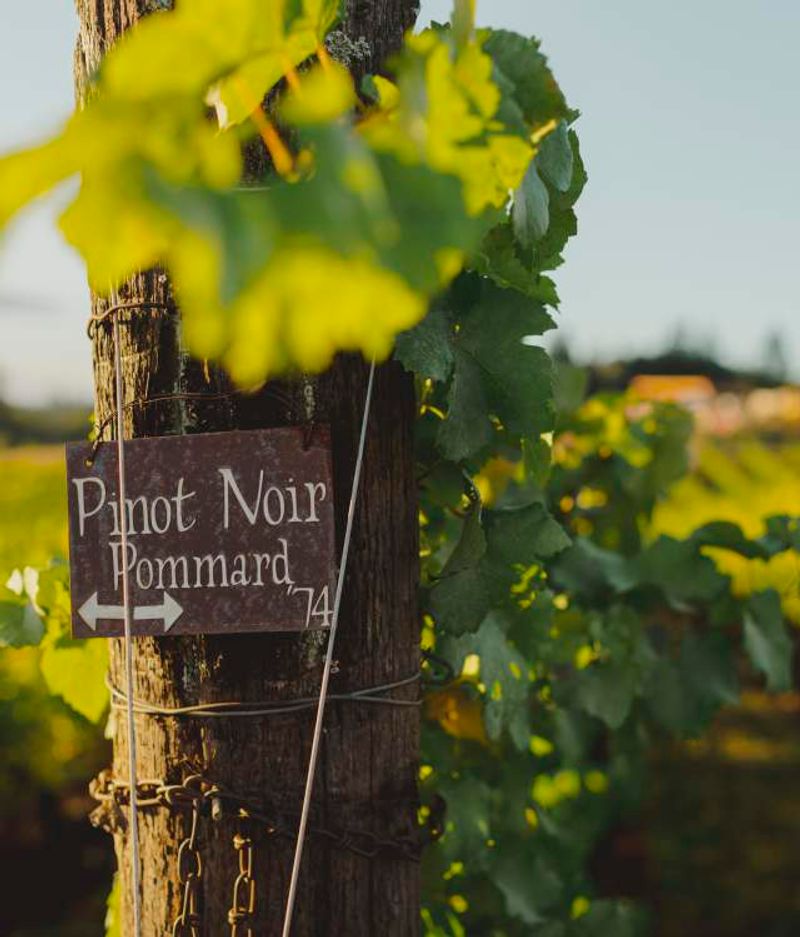 Willamette Valley, Oregon