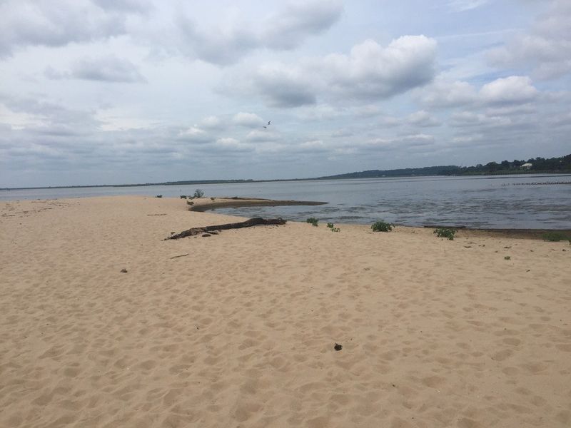 Bayfront Park Beach