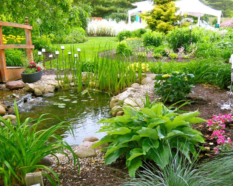 Green Thumbs’ Inspiration Hub