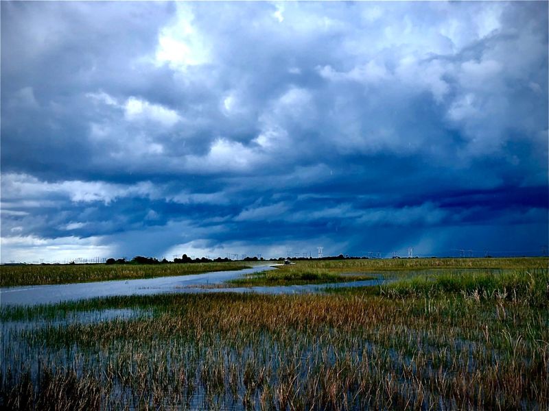 Florida Everglades