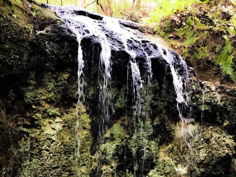 Florida's Record-Breaking 73-Foot Waterfall