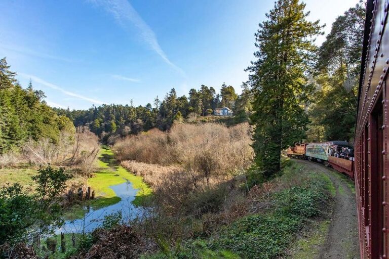 Skunk Train Ride California Redwood Skunk Train: 7 Reasons This Ride Is Your Next Must ...