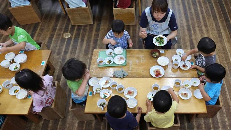School Lunch Programs Teach Healthy Habits