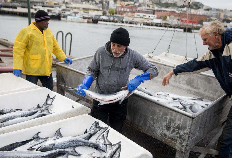 The Fisherman's Tale