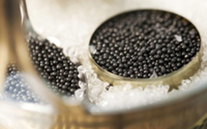 Beluga Caviar