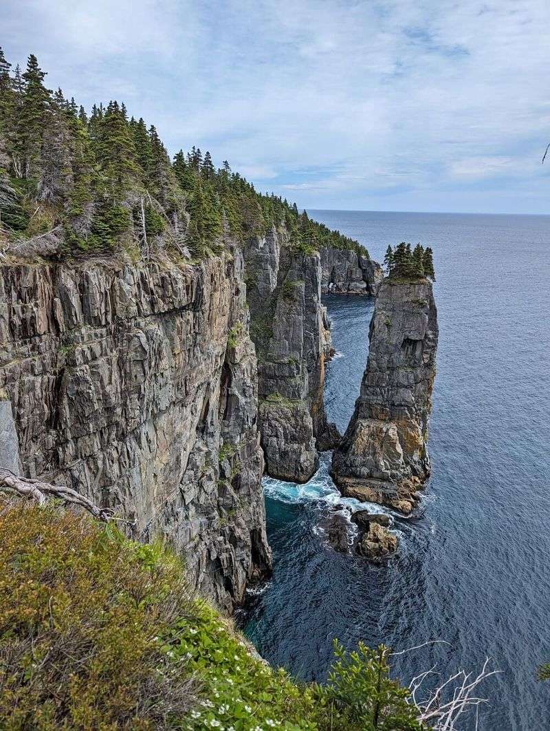 East Coast Trail, Newfoundland
