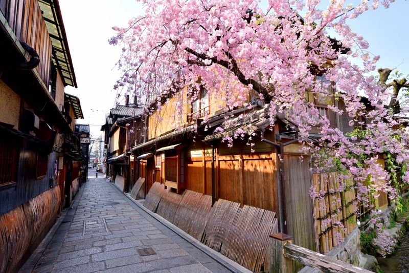 Gion District During Yanagi Midori Nari (Willows Turn Green)