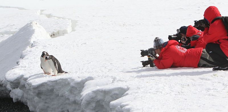 Antarctica