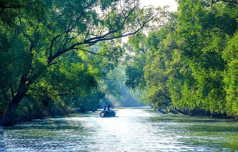 Sundarbans, India and Bangladesh