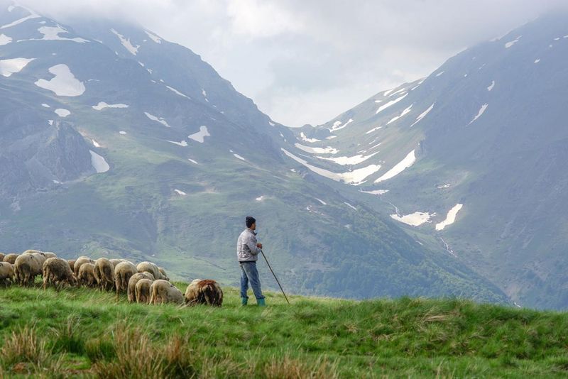 Shar Mountain National Park, North Macedonia