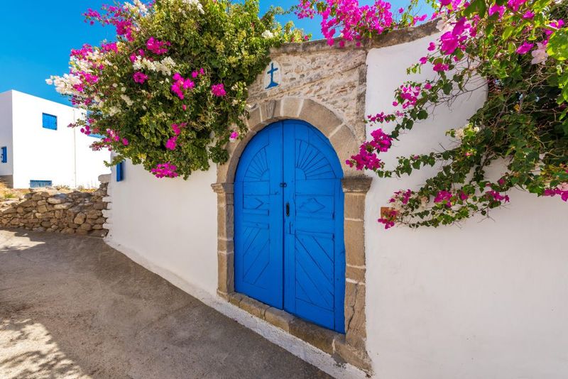 Lachania