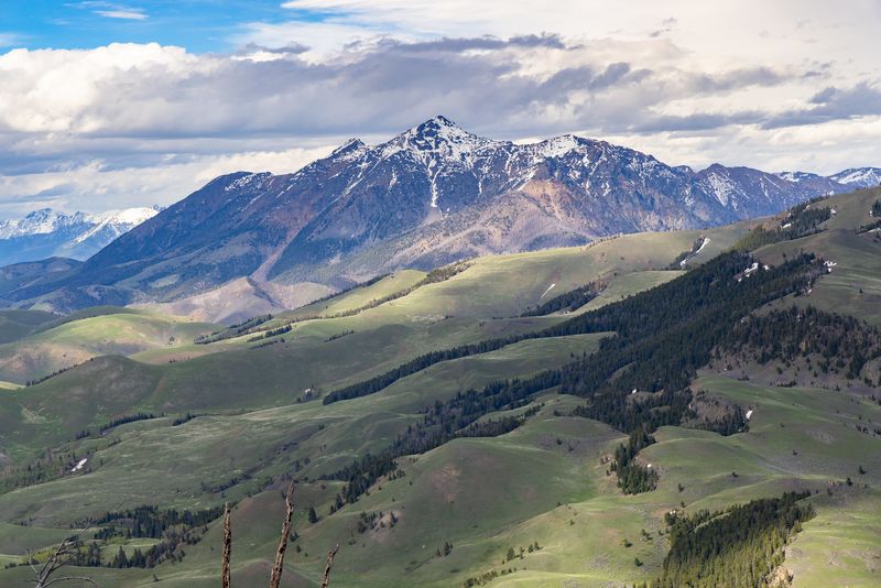 Montana