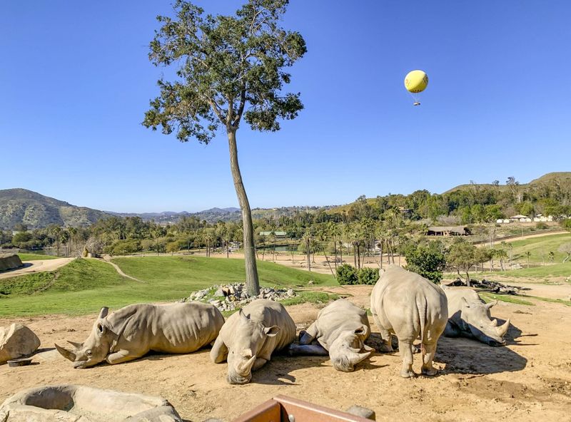 San Diego Zoo (CA)