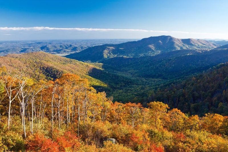 Shenandoah National Park, Virginia – East Coast Escape