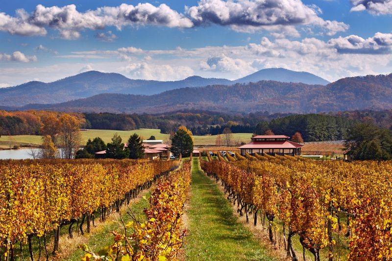 Afton Mountain Vineyards –