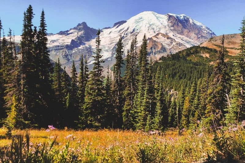 Mount Rainier National Park, Washington