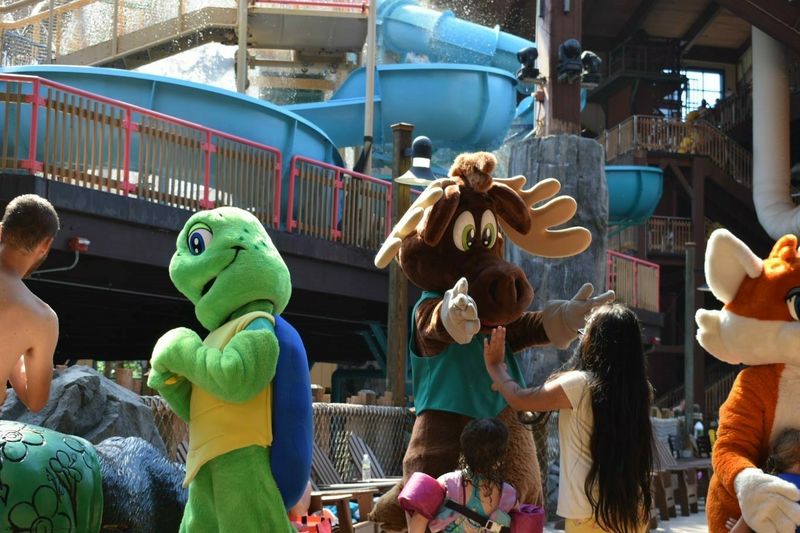 Timbertown Gang Character Meet-and-Greets