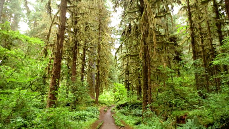 Olympic National Park