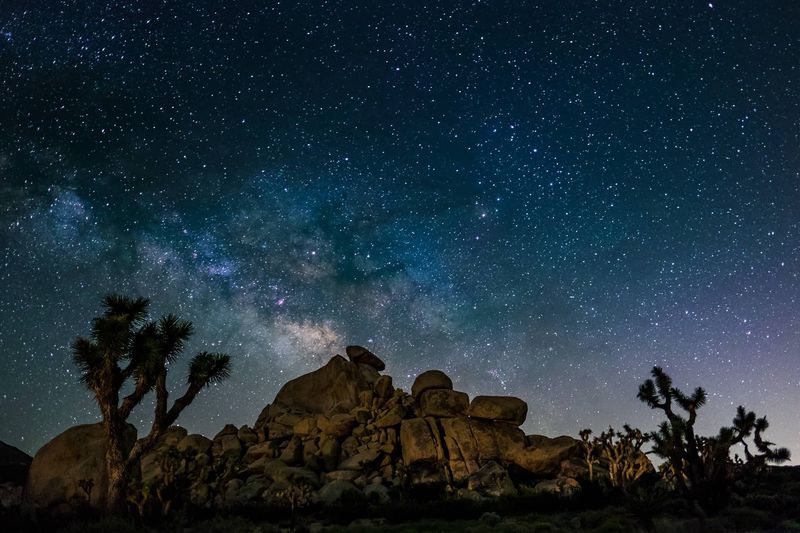 Joshua Tree National Park