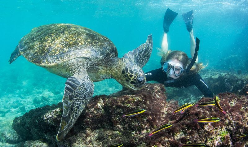 Ecuador's Galapagos Islands Turtle Paradise