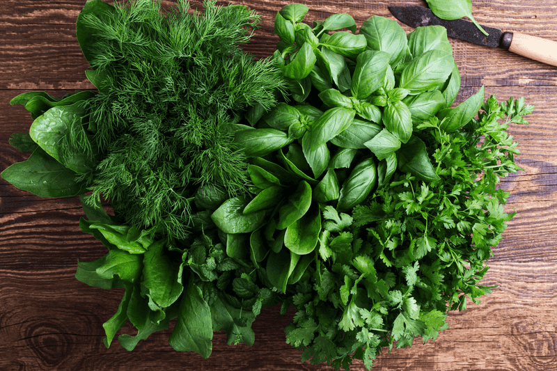 Herbs (like Basil, Cilantro, Parsley)