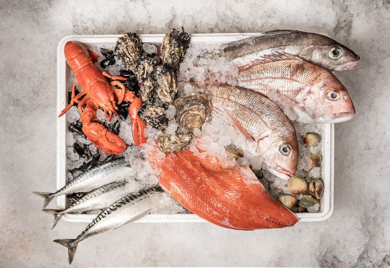 Fresh Seafood Swimming Away
