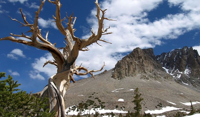 Great Basin National Park, Nevada