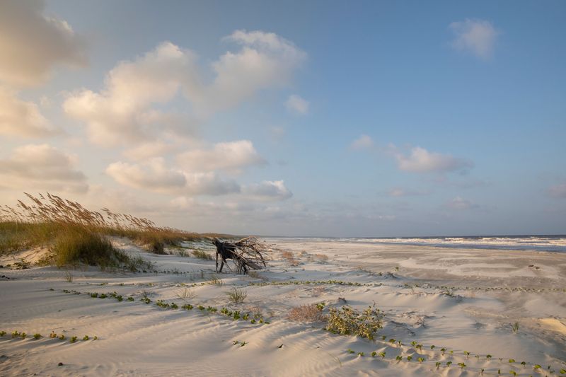 Cumberland Island, Georgia