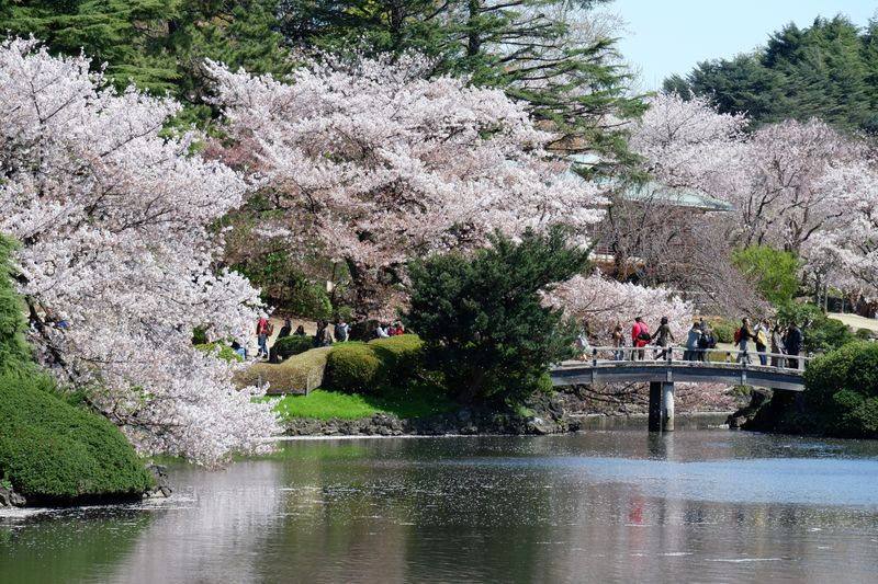 Shinjuku Gyoen National Garden