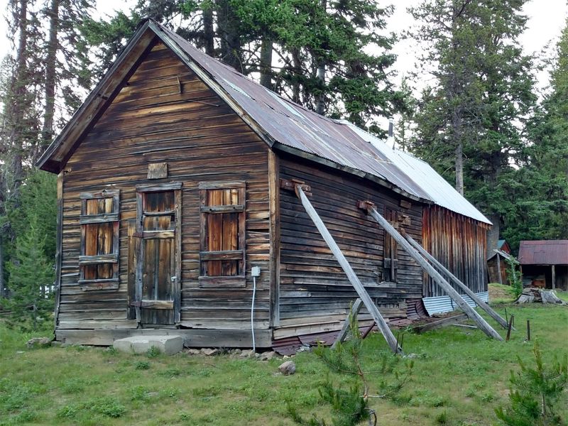 Greenhorn