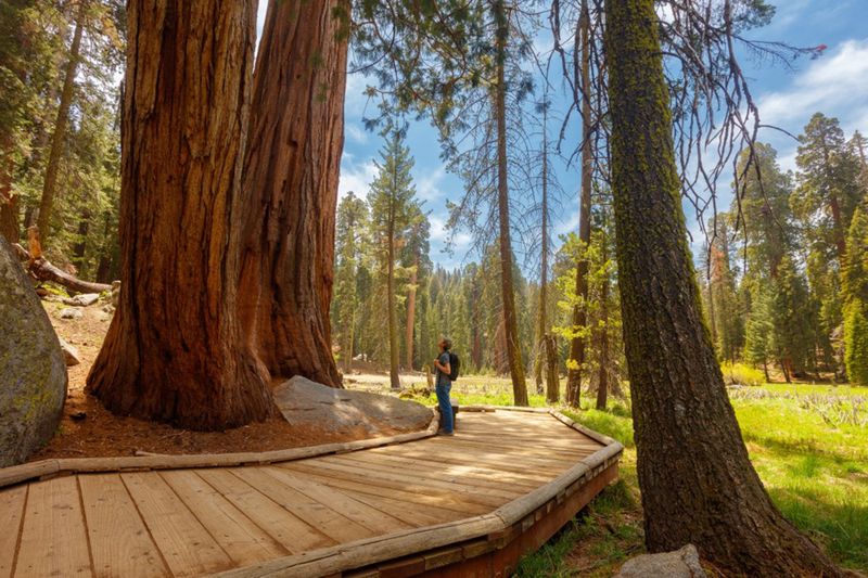 Sequoia and Kings Canyon National Parks