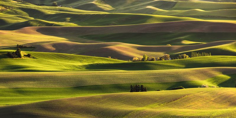 Idaho: The Palouse