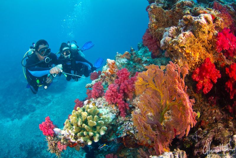 Fiji