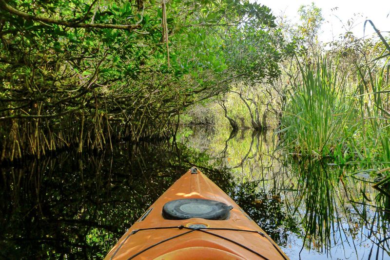 Everglades National Park, Florida